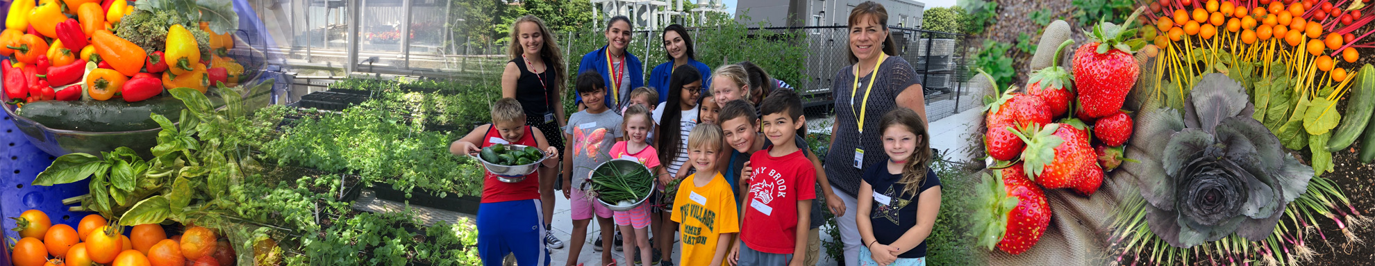 banner image group of adults with children showing food.